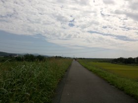 木津川自転車道