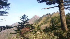 石鎚山　登山道途中から