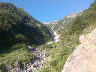 針の木雪渓へ向かいます