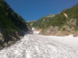 針の木雪渓