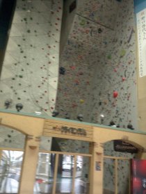 ユーワールドつくば