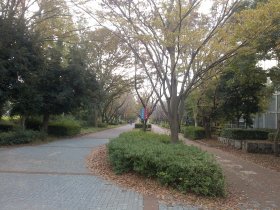 学園都市