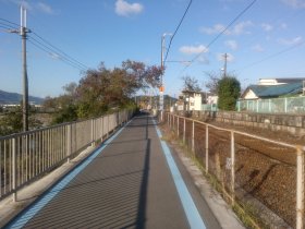 紀の川サイクリングロード