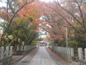 向日神社