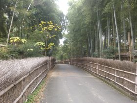 竹の径
