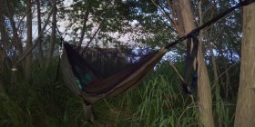 背割り堤　淀川畔