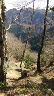 尾根の登山道出会い