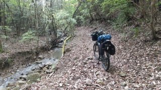 道路がなくなりだし