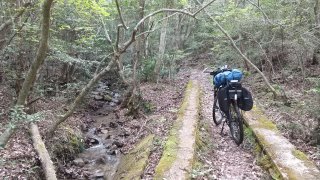 峠に至る道１ｋｍ程は登山道となる