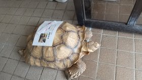 かすみがうら水族館