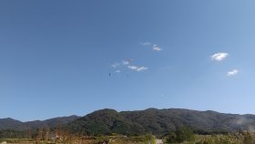 パラグライダーが