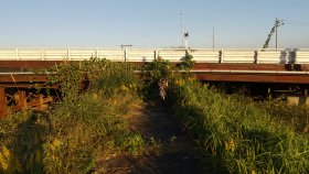恋瀬川自転車道　終点