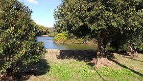 継体天皇 三嶋藍野陵