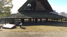 史跡新池ハニワ工場公園