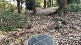 今城塚古墳　墳丘