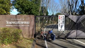 茨城県自然博物館