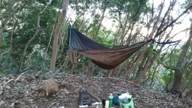 河津町　磯へ下る歩道途中