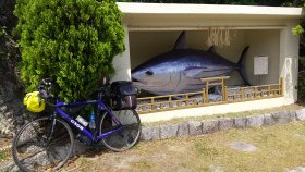 恵比須神社　マグロの神輿