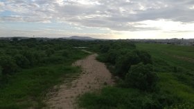 木津川　河川敷