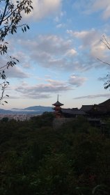 アンディ　ウォフォール　写生場所