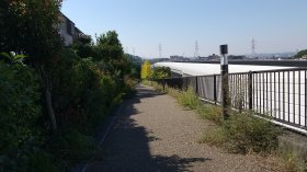 １号バイパス道歩道