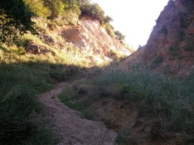 神大滝林道　坂下峠　切通し2010年