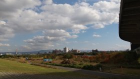 淀川河川敷伐採