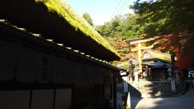 嵯峨島鳥居本仙の分岐