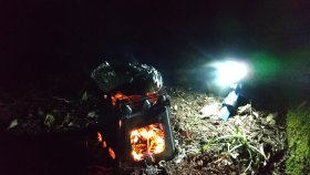 伊東大仁田線　途中の林の中