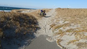 太平洋自転車道　海砂埋没で通行できない。