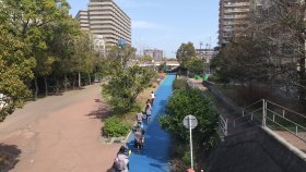 大野川緑陰道路