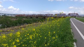京都八幡木津自転車道