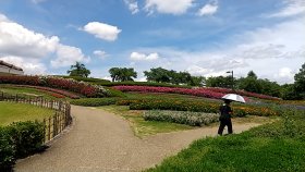 馬見丘陵公園