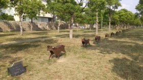 神戸　犬も歩けば