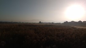 京奈和CR　平城京あたり