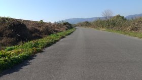 淀川CR　河川敷