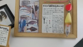 三番瀬環境観察館サヨリ浦安釣り方