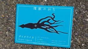 海獣のみち？