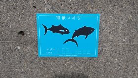 海獣のみち？？