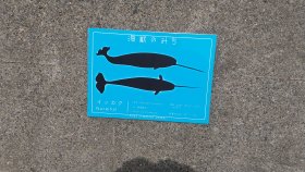 海獣のみち