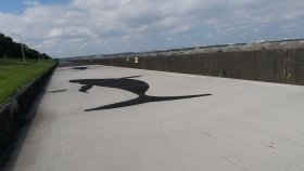 シロナガスクジラ