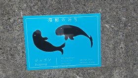 海獣のみち