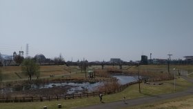 恩智川　加納東公園