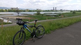 オカムラワンド