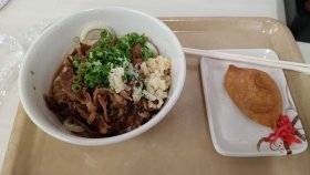 松原うどん（昼食はうどん）