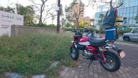 シーサイドコスモ