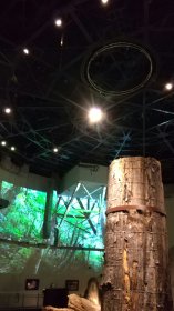 さんべ縄文の森ミュージアム（三瓶小豆原埋没林公園）