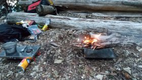 大台ヶ原　林道