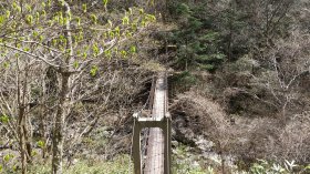 シオカラ吊り橋