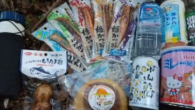 四国カルスト前の廃林道　泊まり地